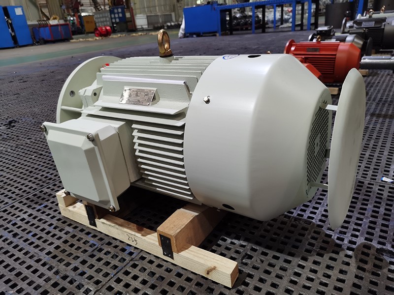 2 pole induction motor-Simo YE3 series1 2 pole induction motor-Simo YE3 series1