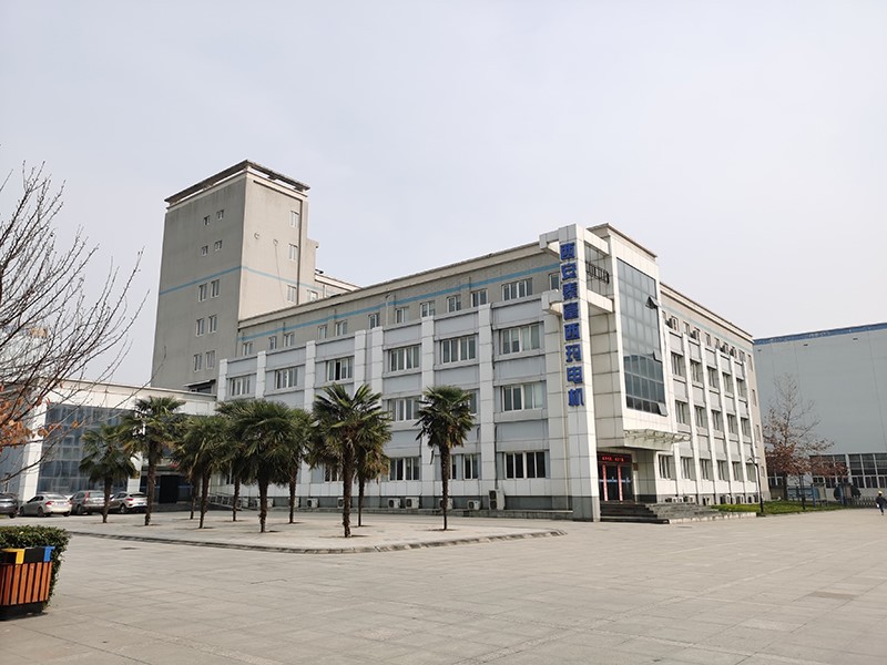 2 pole induction motor simo